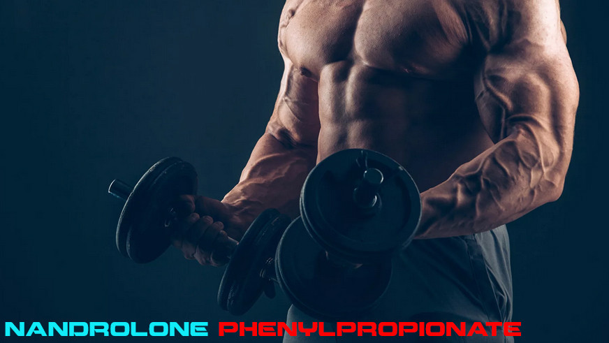 Lean Muscle Mass | Nandrolone Phenylpropionate